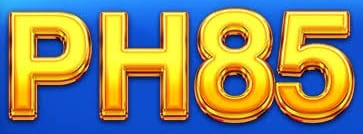ph85link.ph Logo